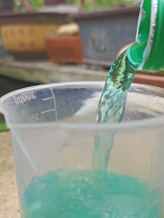 发财树总黄叶掉叶?专用营养液来救场! 你家发财树是不是常黄叶、底部叶片脱落?这款专用营养液含氮磷钾+微量元素,精准补它缺的养分,浇几次叶片就变翠绿,枝干也壮实,小黄车直接拍!#发财树 #发财树养护 #发财树专用营养液 #营养液 #营养液三合一