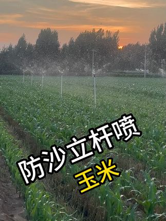 定制孔防沙立杆喷带农作物度过最热的三伏天。 有库存下单安排发货#河南热成了可南 #浇地神器