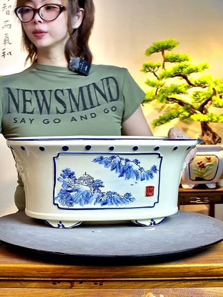 复古青花瓷花盆,让家里多一份雅致! 喜欢养花草的朋友看过来啦!这款复古风的大号陶罐别错过哦~#花卉绿植#爱生活爱养花#室内绿植#花盆#花盆推荐