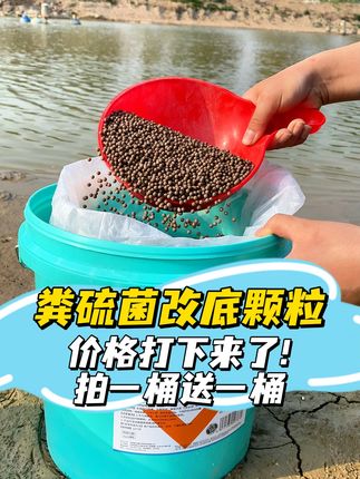 粪硫菌颗粒买一桶送一桶 #鱼虾蟹养殖 #南美白对虾 #四大家鱼养殖 #三农 #水产养殖