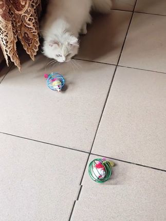 猫咪自嗨不停!大号铃铛鼠耐咬耐抓乐趣多 猫咪的天性就喜欢老鼠,果然被这个笼中鼠拿捏了哈哈,快给你家毛孩子也安排上吧#猫玩具 #猫捉老鼠 #宠物玩具 #萌宠好物 #萌宠出道计划