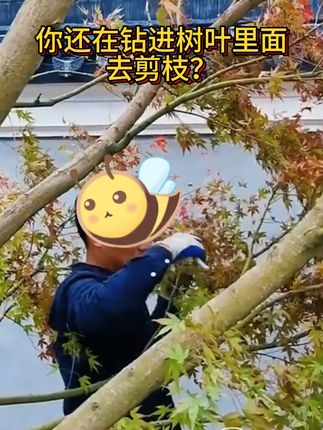 园林修剪难题秒解决,粗枝也能轻松剪! 园艺师必备!这款工具轻松搞定高处树枝修剪难题!