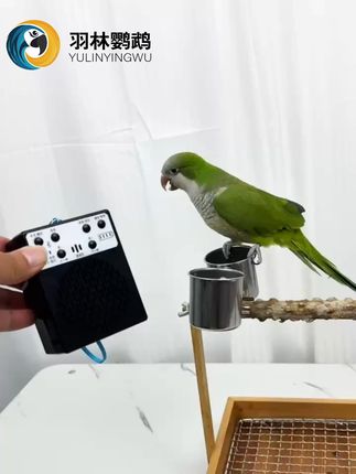 鹦鹉学会说话的秘密武器!充电式训练机让宠物开口说话 鸟宝不会说话太着急?这款神器能帮它学会!