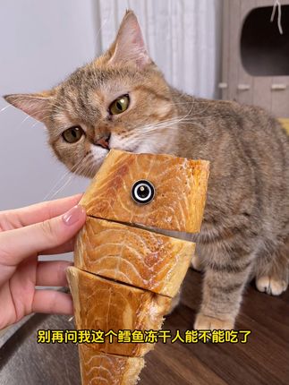 鳕鱼冻干猫咪零食#猫咪 #猫猫算是把日子过明白了 #萌宠好物 #猫零食 #萌宠有自己的阿贝贝