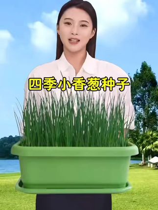 阳台也能种出新鲜小香葱!轻松育苗盆栽攻略 蔬菜园艺爱好者们!你们期待已久的季节性蔬菜终于来了!!快来看看吧~#朱孝天挑战100块手信街吃到饱#需要大声安利的烟火气美食#在杭州找到好吃的贵州小炒了#送你一束常青的爱情#美食之都扬州到底有多好吃