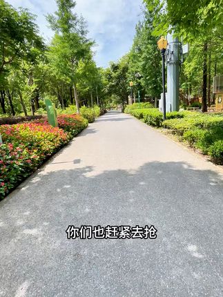 告别尴尬!誉竹手帕纸,随身携带的优雅选择 这个月销量破万了!感谢大家的支持!!!#三伏天邪修减肥还是太权威了#带娃旅行需要准备些什么#三伏晒书藏在时光里的夏日仪式感#鱼龙混杂的度假好物分享#夏日含绿量已达百分百