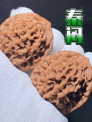 大西北野生核桃,手捻一刻,尽显玩家风范! 大西北野生核桃!玩家都在找它!全品货头、顶配款!#好物推荐🔥#文玩核桃#文玩#文玩爱好者#盘核桃