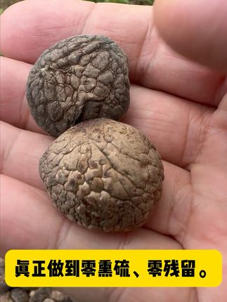 野生珍珠菇炖汤,鲜香浓郁全家爱! 今天又是一个忙碌的一天!晚上回家吃一碗鲜美的香菇菌子汤,一天疲惫都去掉一半了!#三农 #好物推荐 ##优质农产品 #野生菌 #我在大山发现了小香菇#舌尖上的抖音:丰收的味道在抖音 