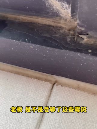 源自欧洲技术,0级防霉,行业高标准,一次施工,终身防霉 #防霉胶 #0级防霉 #装修 #赛磊那