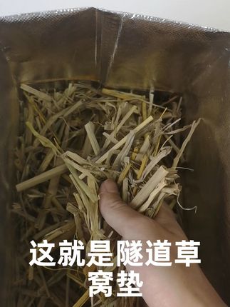 稻草垫窝材料 #收到绿玫瑰花束的人真的很幸福#如果在十八我没能送你花#贵州究竟有多少好吃的城市#就用这个转场去溜达吧#我将报名江苏城市美食联赛