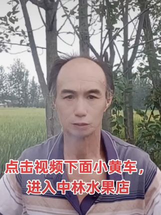 早酥梨多汁又脆甜,坏果包退无忧吃! 买一箱不好吃还能退,再也不怕买到不好的啦!#砀山酥梨 #早酥梨 #新鲜应季水果 #脆甜多汁 #被新农人的打卡视频馋到了