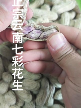 七彩花生带壳新口味,零食新宠儿!咸干口味 云南特色小零食!好吃不上火,喜欢吃的别错过啦~#当美食有了音乐灵魂 #七彩花生 #花生 #咸干花生 #零食推荐