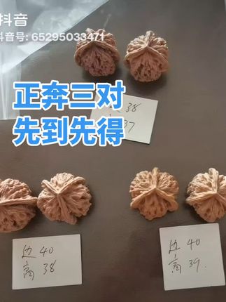 手玩神器!天然三棱核桃,手心的舒适享受! 想买高品质、高颜值的手串却没合适选择?这款产品帮你解决!#好物推荐🔥#文玩核桃#盘核桃#文玩#文玩爱好者