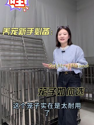 大狗也有家!不锈钢狗笼免费退,安心养宠无压力 今天下午五点半之前下单都可以享受运费险了!有需要赶紧冲吧!!#萌宠好物#居家好物#萌宠#狗狗#不锈钢狗笼