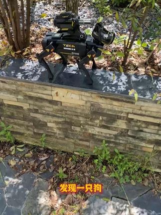 宝宝新宠!语音互动机器狗,早教编程一手抓! #儿童玩具 #益智玩具 #机器狗 #让孩子远离手机 #男孩玩具