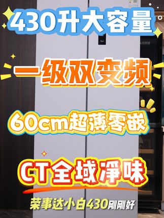 超薄冰箱嵌入无压力 430升大容量,CT全域净味,点击下方链接购买#强烈推存 #厨房好物 #冰箱 #节能省电 #大容量冰箱 