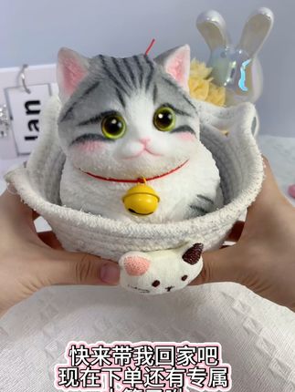 现在下单大胖猫 还有专署小篮子和眼镜呦 而且是礼盒包装送到家#礼物 #生日礼物 #可爱 #萌宠出道计划 #捏捏乐 