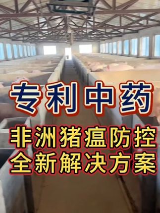 非瘟防控专利中药 防控非瘟专利中药解决方案#非瘟防控 #非瘟防控最好方案 #非瘟 #诸稳清 #DOU+七夕百万补贴来啦! 