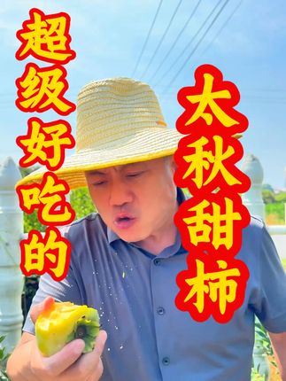太秋甜柿又脆纯甜水分又足的太秋甜柿这样的苗种下一年就结果 #太秋甜柿苗 #太秋甜柿育苗基地