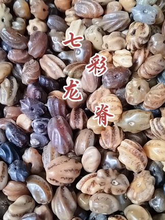 天然七彩菩提籽,手串DIY新选择! #玉化 龙脊菩提混色七彩籽