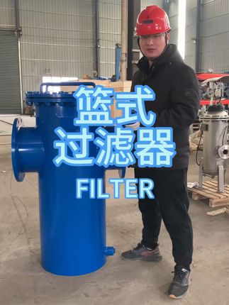 篮式过滤器 #篮式过滤器 #过滤器 #提篮过滤器 