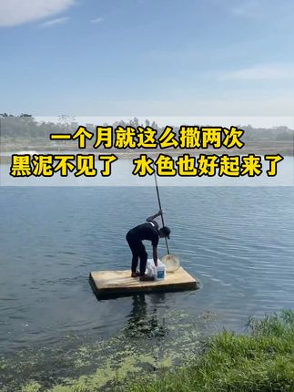 一个月就这么撒两次,黑泥不见了,水色也好起来了。#水产养殖 #水产人 #粪硫菌 #水产养殖技术 #高密度养殖