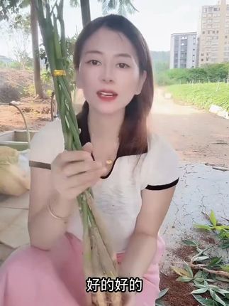 家里空气不清新?这盆绿植帮你搞定甲醛烦恼! 家里养上一株这种植物吧!它不仅好看还能净化空气哦~#包出片的云贵bistro#就用这个转场去溜达吧#如果送花有段位#中式插花每一帧都是东方美学#收到绿玫瑰花束的人真的很幸福