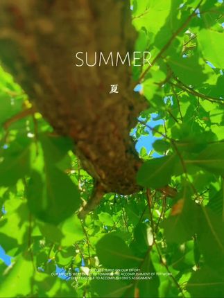向往自由的生活#牛马都向往哪里#在拍一种很新的VLOG 