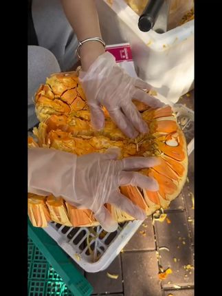 印尼红菠萝蜜果树苗 果大干包脆甜,红心红肉菠萝蜜#舌尖上的抖音:丰收的味道在抖音 