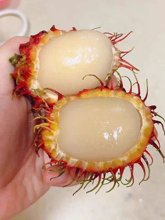 新鲜红毛丹来袭!泰国直送,顺丰包邮尝鲜啦~ 今天下午四点半到六点有活动!下单就送小礼品哦~#宝妈推荐#红毛丹#应季水果#新鲜应季水果#看图说水果挑战