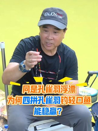 轻口鱼吃口弱?试试四拼孔雀羽浮漂,到底强在哪? #鱼乐无限 #高灵敏浮漂 #钓鱼 #钓鱼人 #孔雀羽浮漂