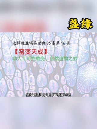 揭秘千年茶道美学,建盏文化一书尽享! 不循人工匠气,独承自然窑变,建盏的每一抹釉色,都是茶席上最独特的自然馈赠。#高端茶器收藏#建盏的魅力#建盏不简单#建盏的神奇之处 #建盏的作用与功效 