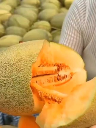 夏日解暑神器!新疆哈密瓜一口爆汁太爽了 #哈密瓜#新疆哈密瓜#网纹蜜瓜