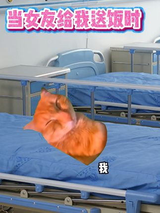 女朋友来给我送饭时 #猫meme #二次元 #搞笑 #抽象 #手办