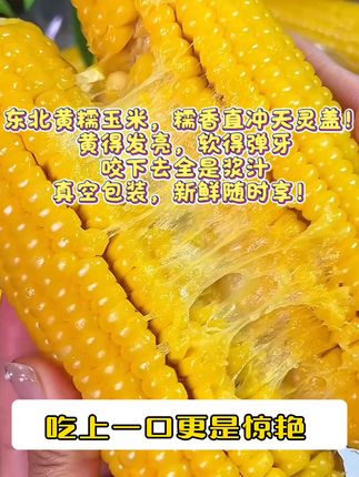 被闺蜜按头安利的黄糯玉米!比烤的还香,糯到能粘住筷子,甜得恰到好处,解馋无负担~ #乡村美食满满的烟火气  #糯千今糯玉米 #玉米    #糯玉米   #邪修做饭交作业了