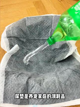 狗狗尿垫!快速锁湿不粘毛,居家外出用着都方便 #萌宠好物 #好物推荐🔥 #萌宠 #宠物尿垫 #狗狗尿垫