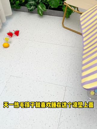 炎夏必备!宠物凉席让毛孩子也能清凉一夏