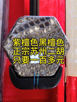 传统音乐的魅力,从这把红木二胡开始! 想学好民族音乐却不知咋入门?这款乐器帮你搞定!#秋季遛娃好搭子