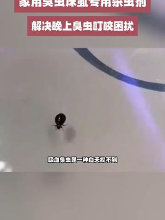 家里蚊虫多?这款无味喷雾搞定一切! 家里有小飞虫太闹心?这款杀虫好物帮你搞定!#杀虫剂推荐 #高效杀虫剂 #驱虫的妙招 #好物分享🔥 #杀虫剂喷雾