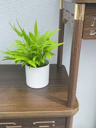 🌿侘寂风雕花花架 | 岁月沉淀的东方诗意