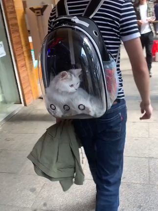 猫咪出行不愁,透明透气猫包太方便! 出门在外担心猫咪不舒适?这款背包让毛孩子出行更舒服!