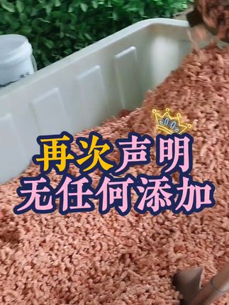 宠物爱吃的肉泥 二次搅碎肉质更细腻易吸收#狗粮 #鸡架泥 #软骨素 #湿粮喂养 #自制狗粮新鲜放心 