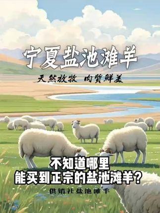 鲜嫩多汁!宁夏滩羊手把肉,一口爆汁的美味体验! 今天又宰了一只羊,还是那么清汤爽口,味道好,肉质细嫩,非常鲜美的羊肉!有运费险哦!#整个邪修的煎蛋吃吃吧#糊弄脑子版减脂汉堡#空气炸锅版干锅鸡翅虾#夏天就适合吃紫苏和鸭子