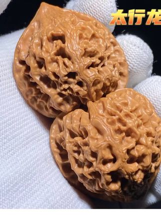 手心里的粉红宝石,太行龙纹核桃太养眼了! 今天给大家分享一款全品高端原树果!骨质皮色呈现粉红色,喜欢的朋友抓紧时间下手吧!#文玩#文玩爱好者#文玩手串#文玩核桃#盘核桃