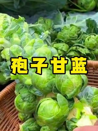 种下健康!孢子甘蓝入口脆爽 #农业种植 #三农种植 #种植小技巧 #种植的乐趣 #种子