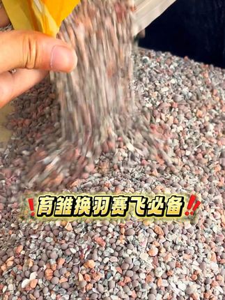 育雏换羽赛飞必备高钙保健砂 它比普通砂钙含量飙升30%以上,钙磷黄金配比助力骨骼发育,蛋壳坚硬不软壳,丰富的矿物质颗粒~#保健砂 #鸽子保健砂 #信鸽用品 #鸽子养殖技术 #养鸽子 R