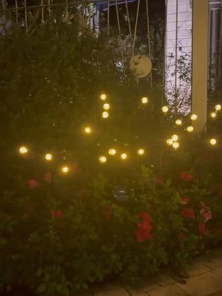 户外夜景太美!防水萤火虫灯点亮你的花园夜晚 这个小玩意儿太好玩了!晚上一开开关就亮起来,放在花坛里特别好看!#萤火虫氛围灯 #太阳能庭院灯