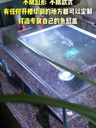 PC定制鱼缸盖防跳网,任意定制 #鱼缸盖 #鱼缸盖制作 #鱼缸盖板防跳网 一切按照你的数据进行切割制作,打造属于你专属的防跳网