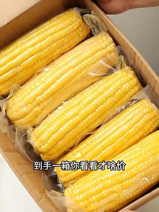 早餐新宠!免煮即食玉米,清甜爽脆唤醒味蕾! 这个季节吃啥都没胃口?试试这种新鲜美味、口感丰富的水果!#大暑消夏美食天花板#把夏天的甜蜜一筐筐装满#邪修做饭有多简单#厨房历险记投喂大鹏杨幂荔枝甜品#各地凉快美食申请出战
