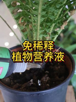 懒人必备植物营养液 #营养液 #免稀释营养液 #绿植 #花卉绿植 